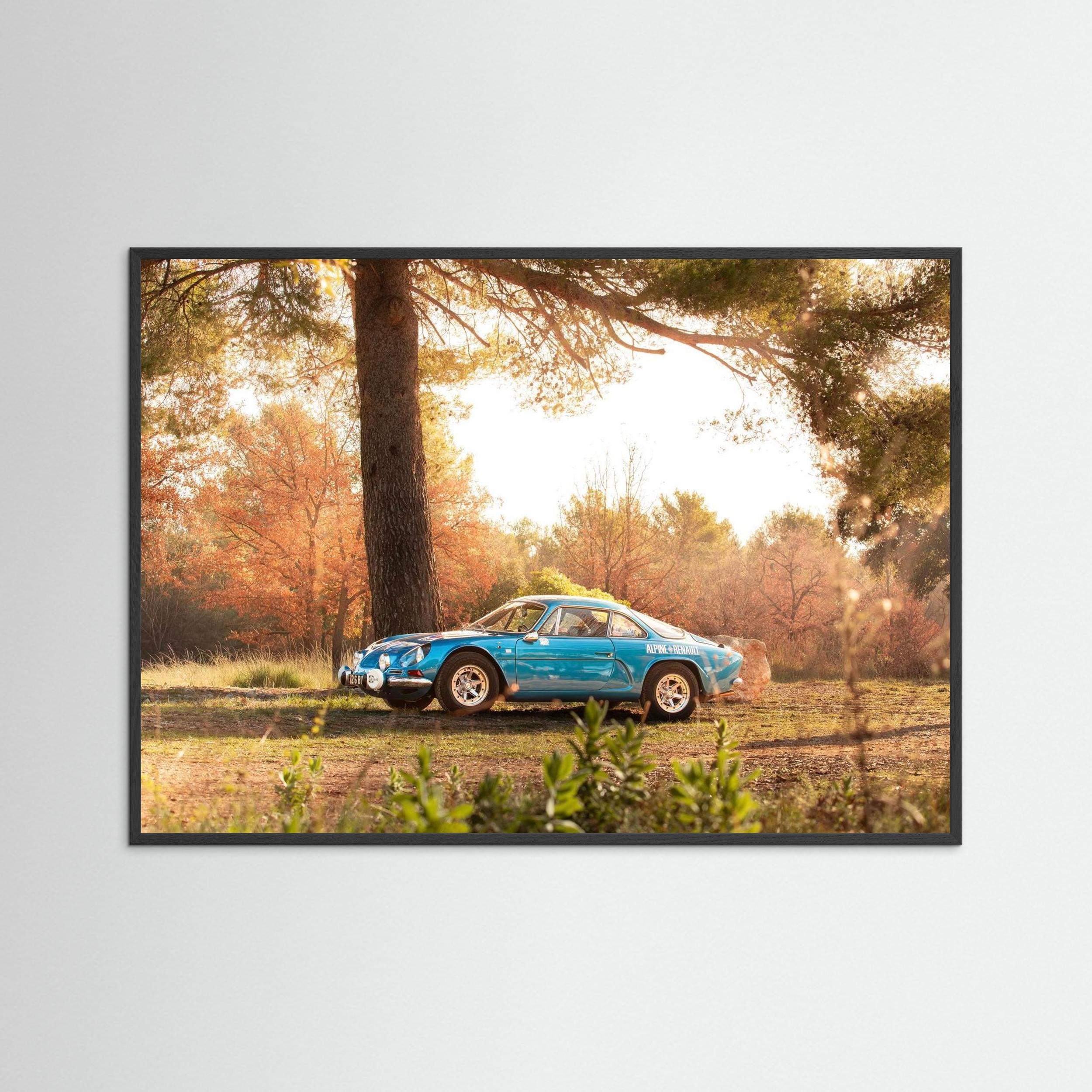 Alpine en pleine nature