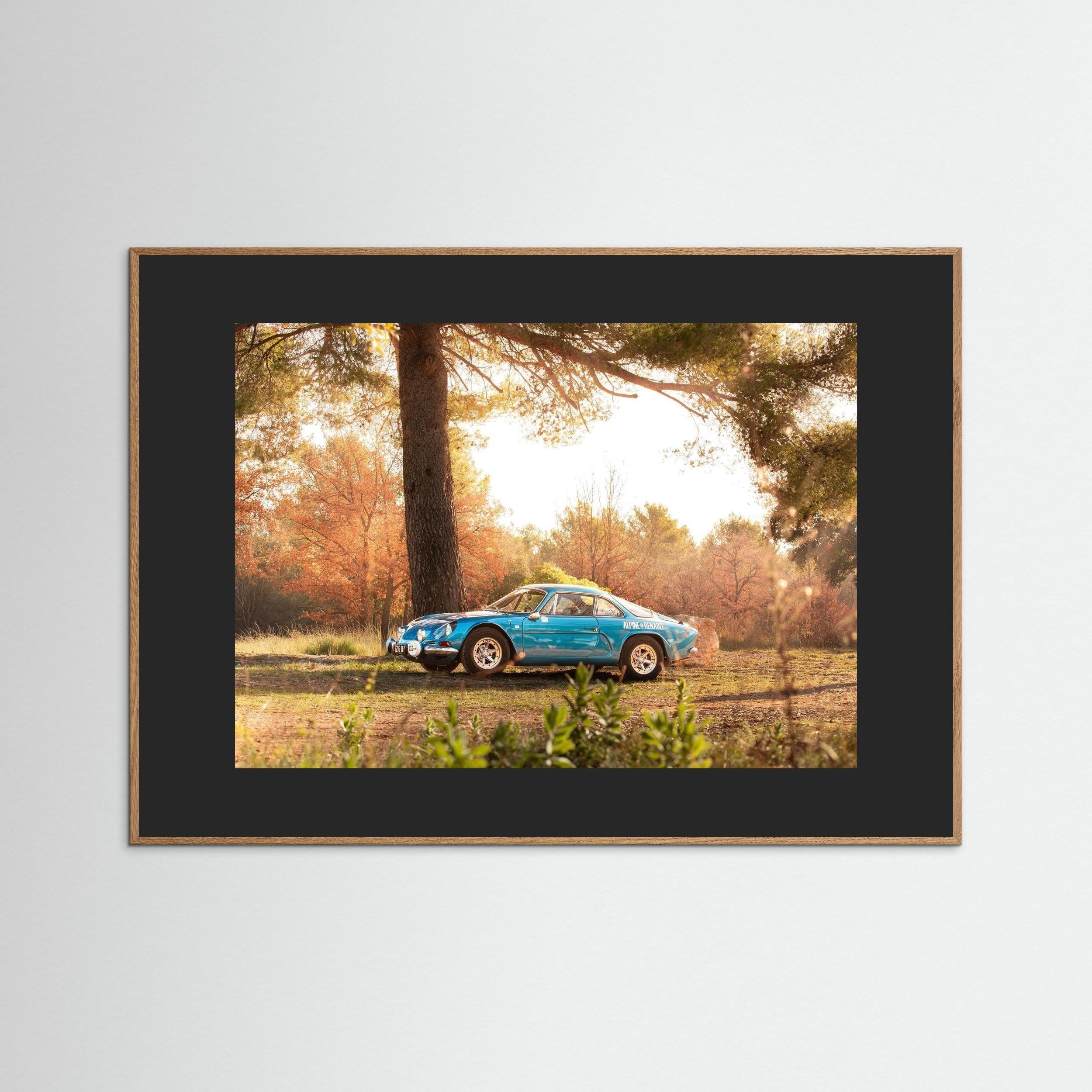 Alpine en pleine nature