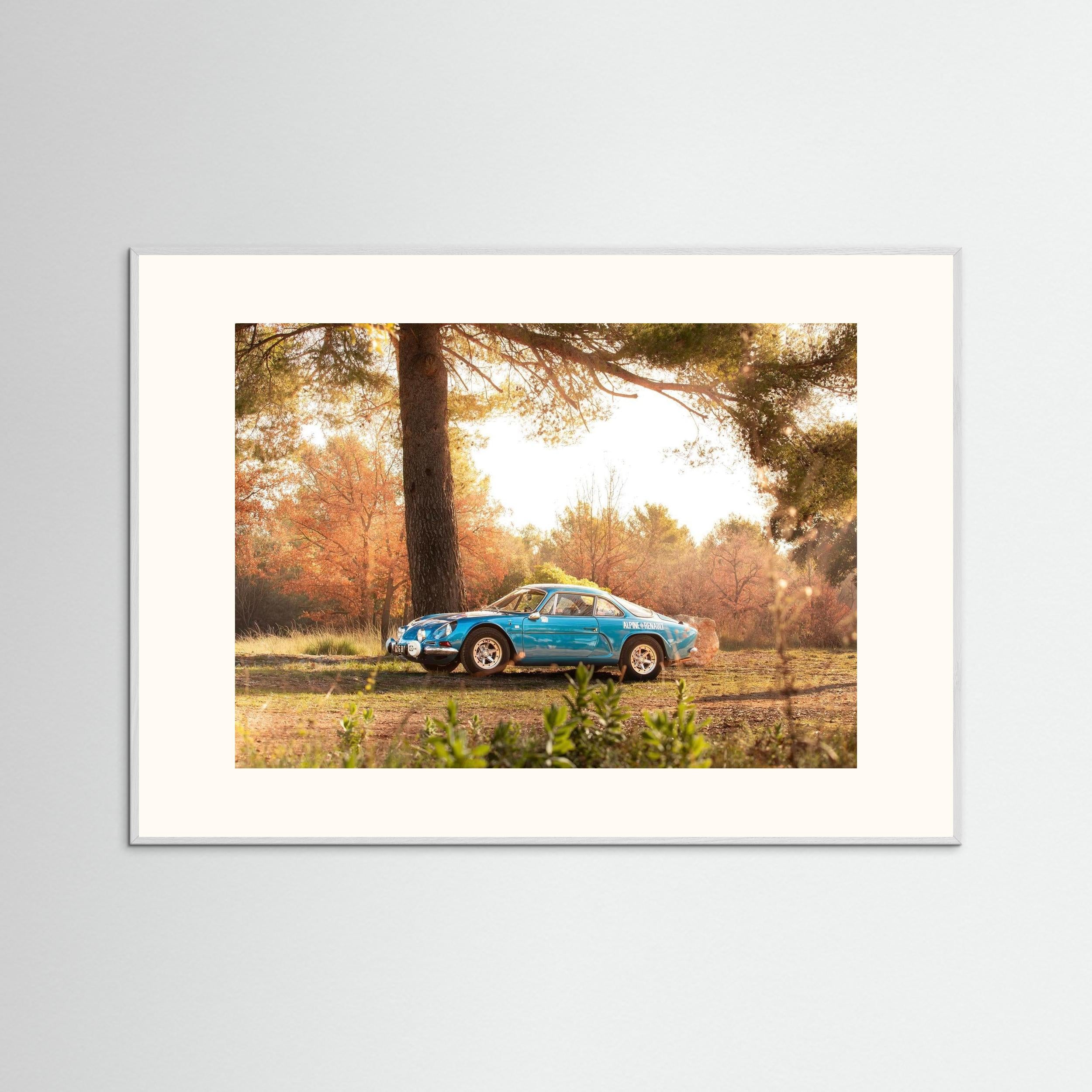 Alpine en pleine nature