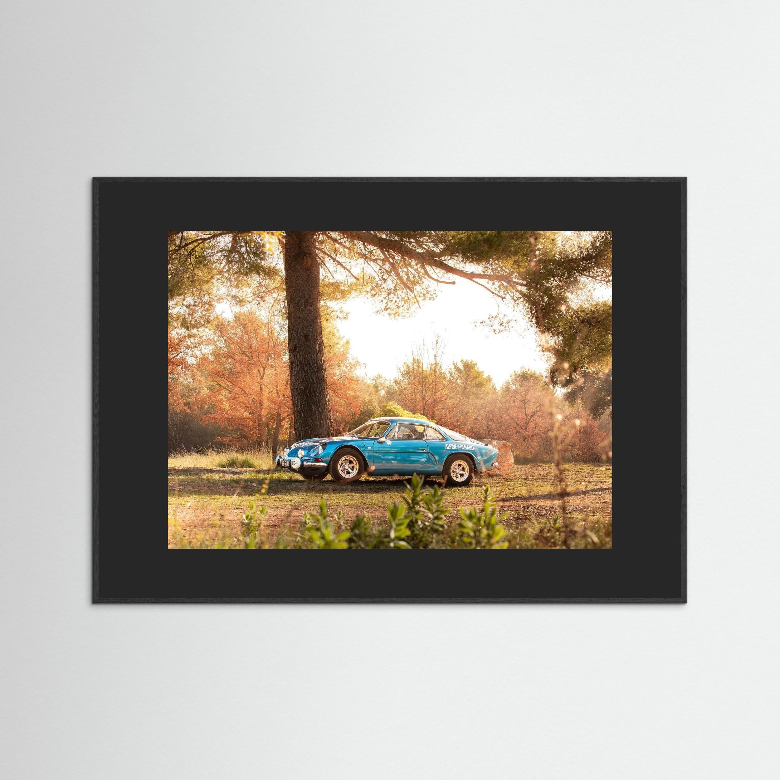 Alpine en pleine nature