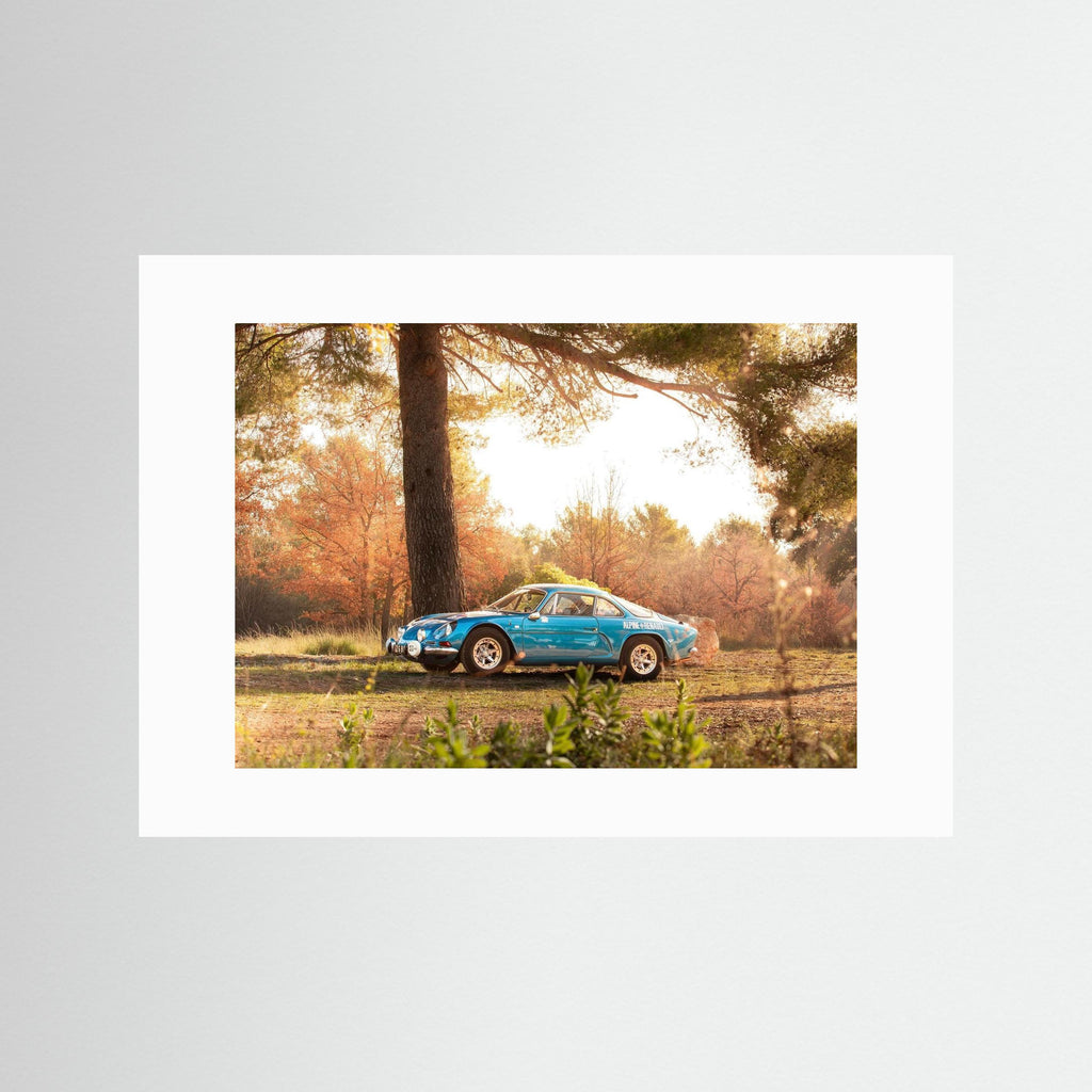 Alpine en pleine nature