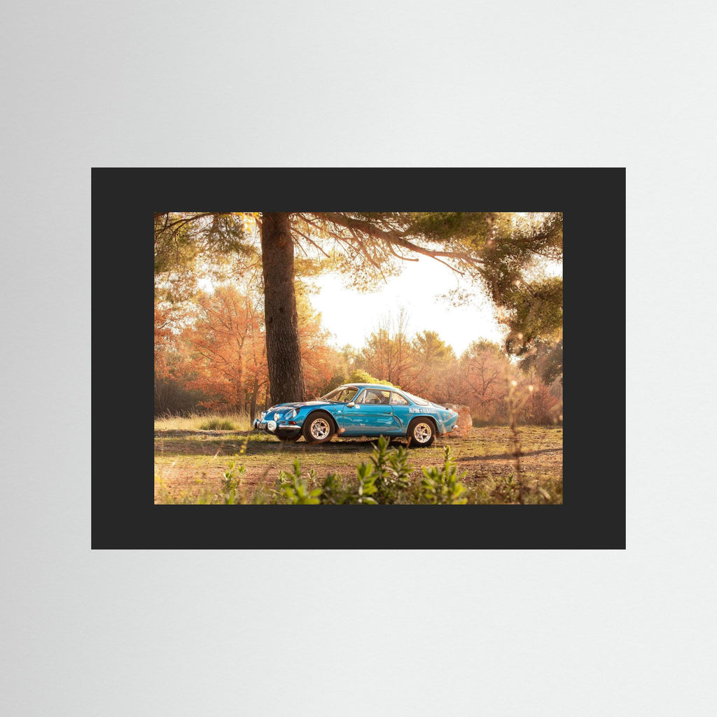 Alpine en pleine nature