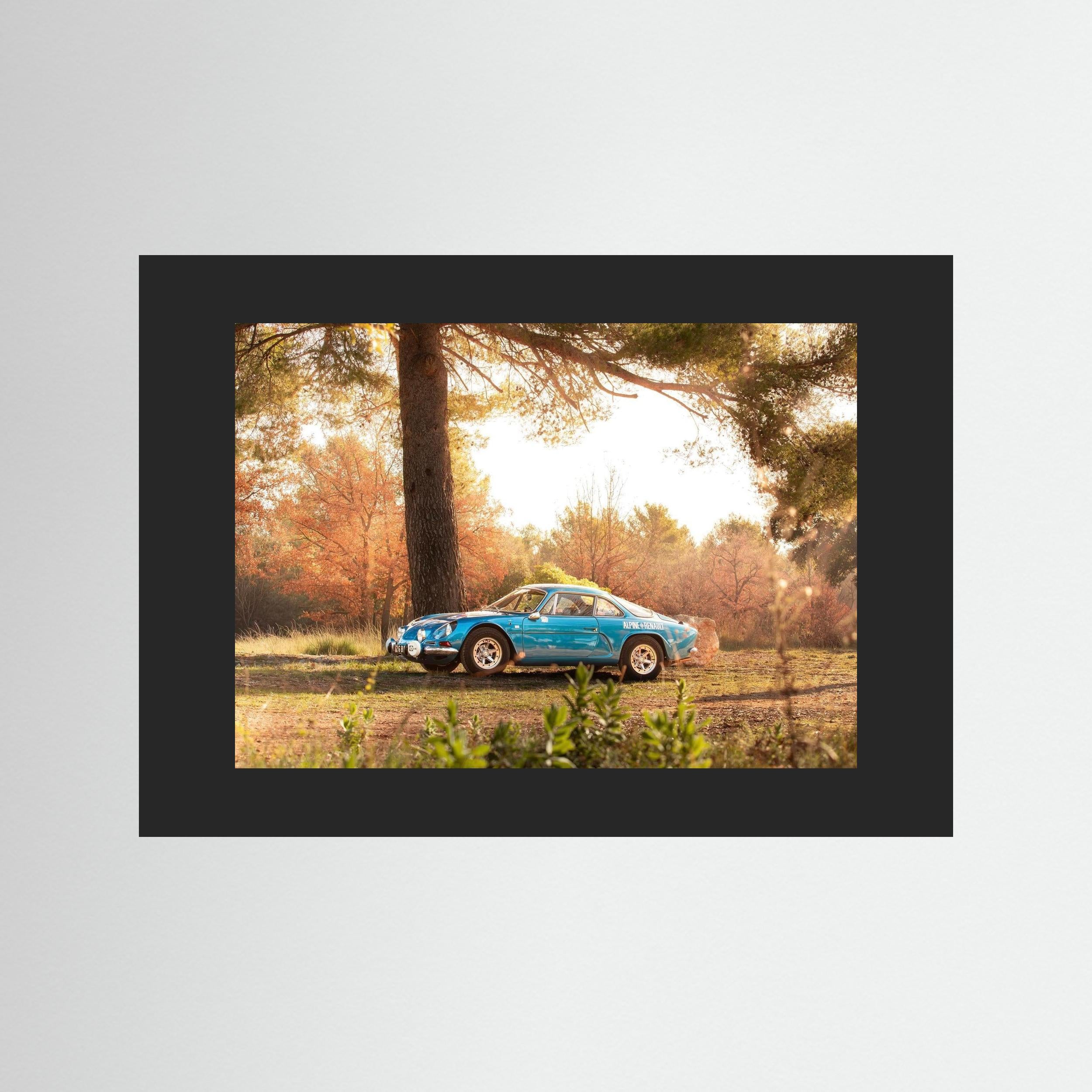 Alpine en pleine nature