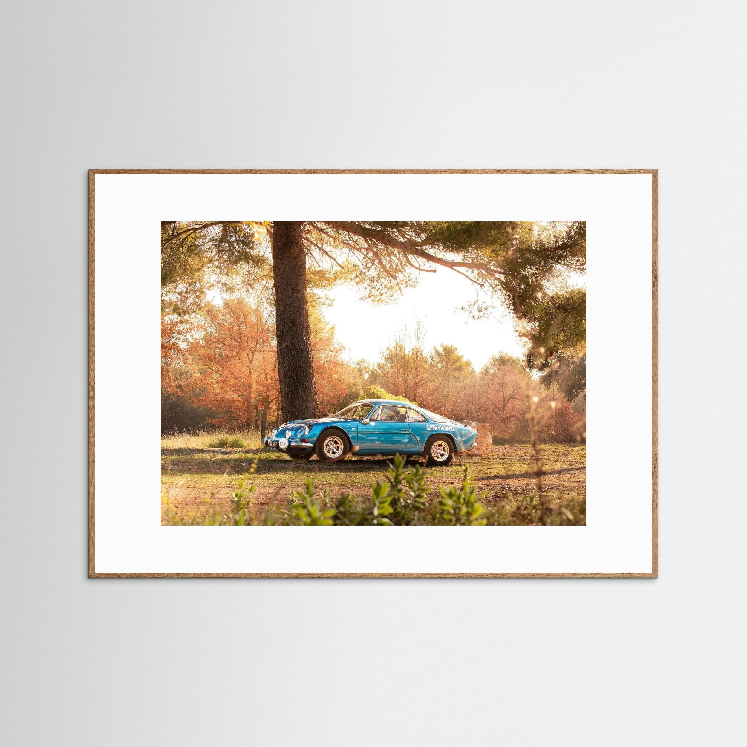 Alpine en pleine nature