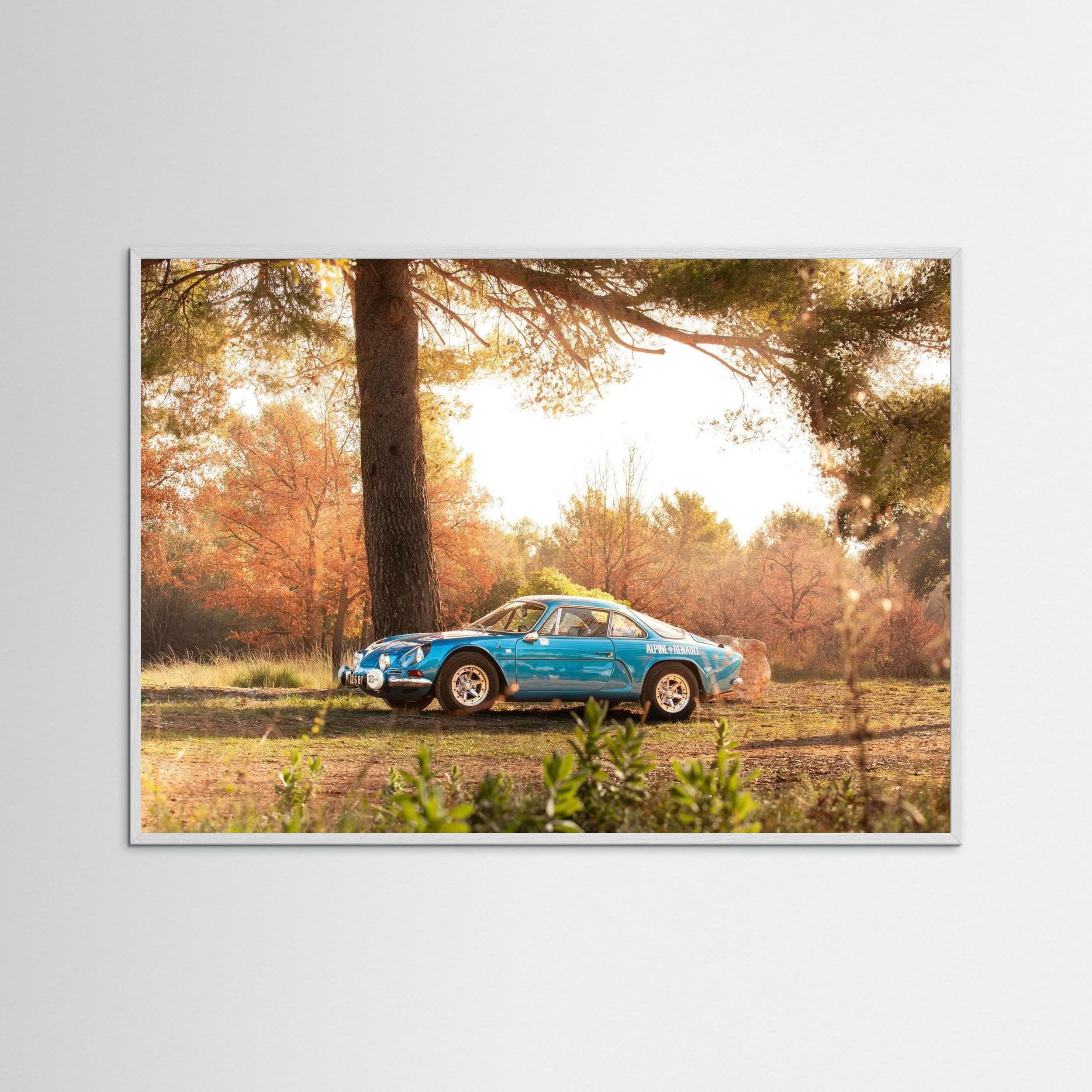 Alpine en pleine nature